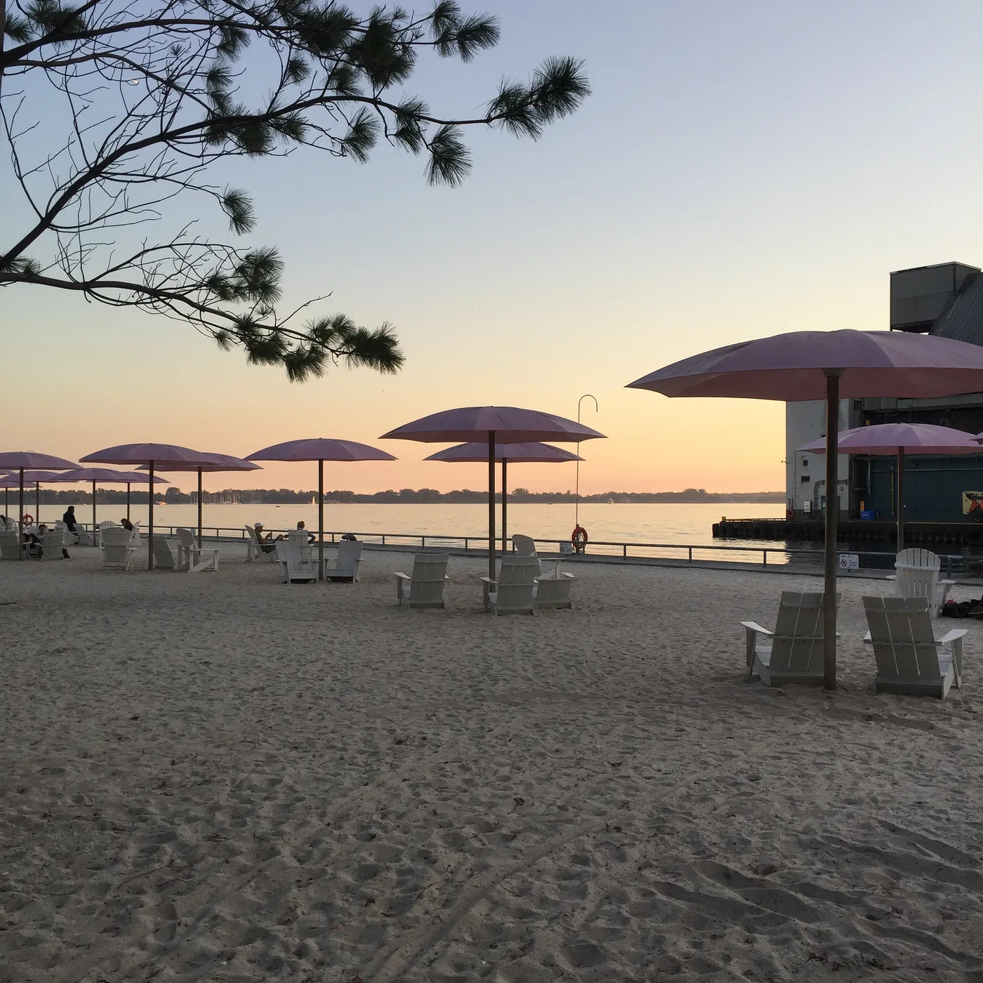 Pink beach umbrellas and white chairs on the sand at dawn