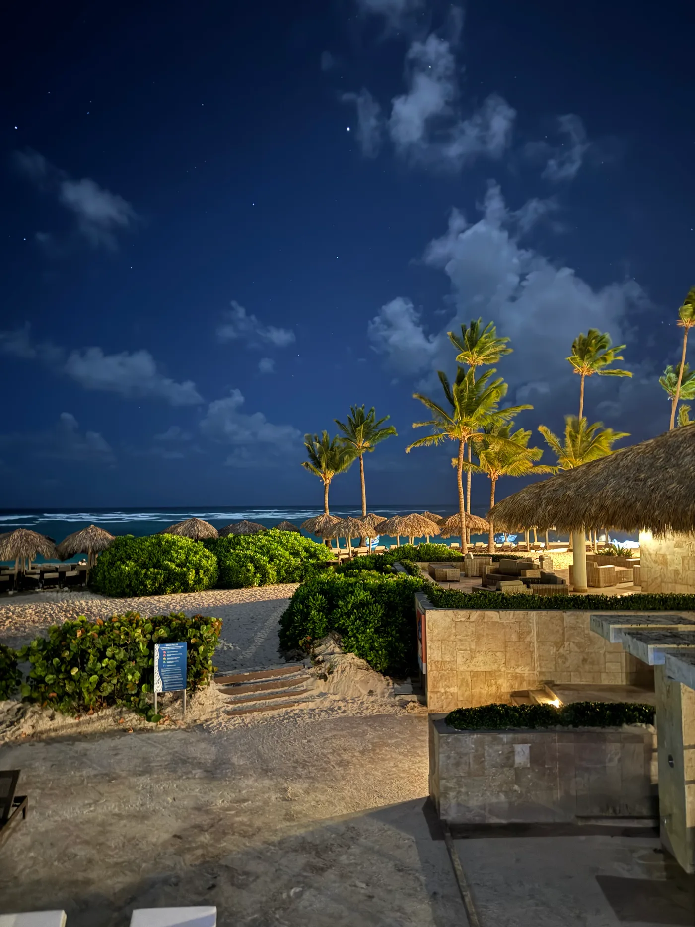 Palm trees and a thatched terrace lit up at night under a deep blue sky